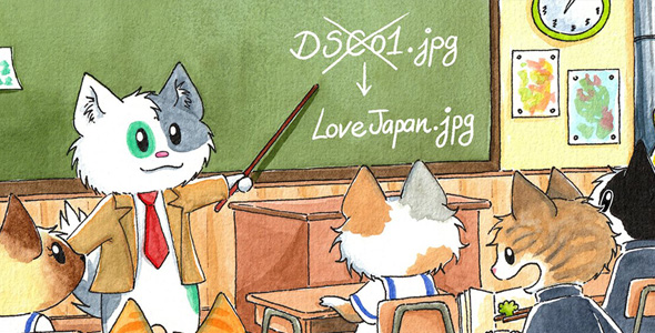 MeowApps Media File Renamer Pro v6.1.5 MeowApps Media File Renamer Pro